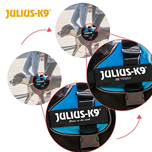 Julius-K9 162B2 - Arnés para Perros, Azul, XL/2, 1 unidad