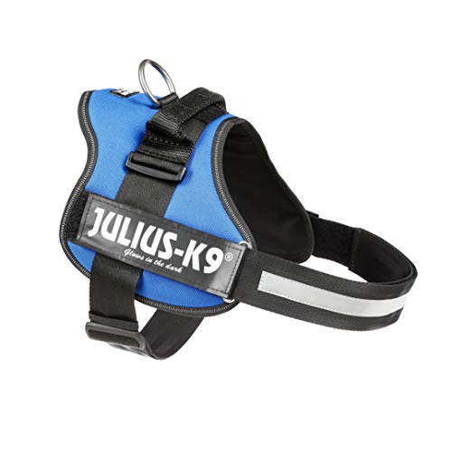 Julius-K9 162B2 - Arnés para Perros, Azul, XL/2, 1 unidad