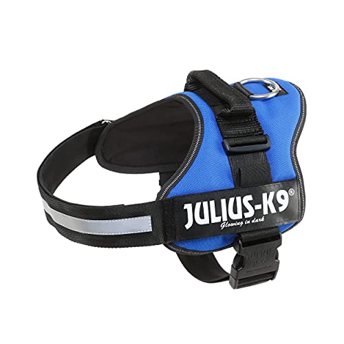 Julius-K9 162B2 - Arnés para Perros, Azul, XL/2, 1 unidad