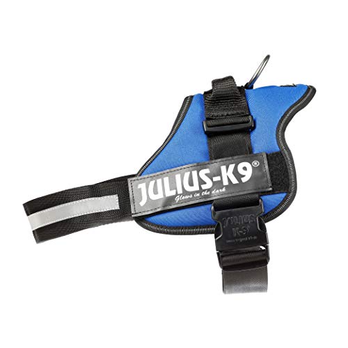 Julius-K9 162B2 - Arnés para Perros, Azul, XL/2, 1 unidad