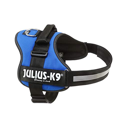 Julius-K9 162B2 - Arnés para Perros, Azul, XL/2, 1 unidad