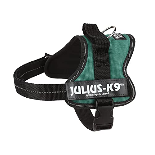 Julius-K9 162DG-M - Arnés para Perros, Verde (Verde Oscuro), S/Mini, 1 unidad