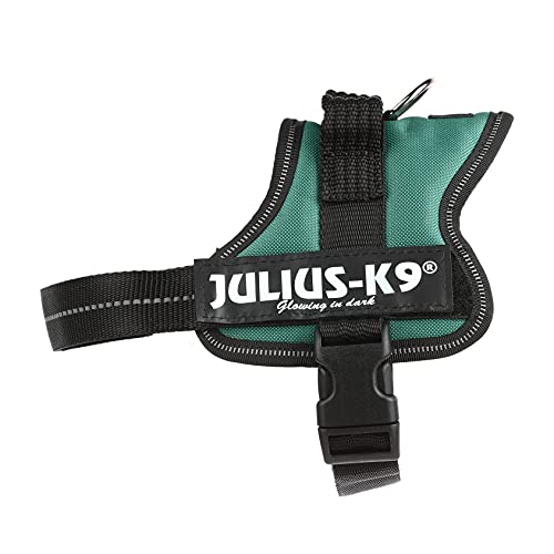 Julius-K9 162DG-M - Arnés para Perros, Verde (Verde Oscuro), S/Mini, 1 unidad