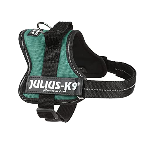 Julius-K9 162DG-M - Arnés para Perros, Verde (Verde Oscuro), S/Mini, 1 unidad