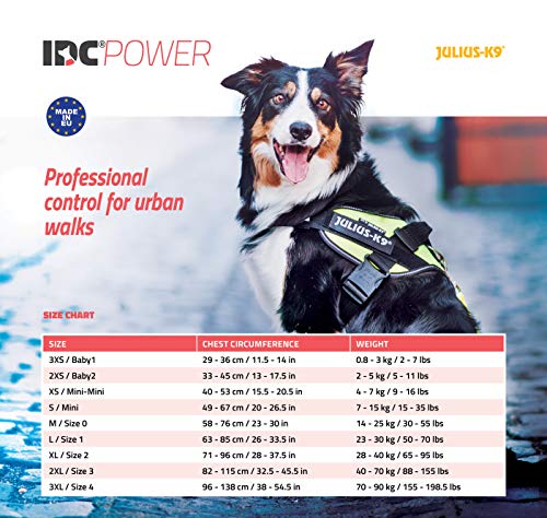 Julius-K9 16IDC-P0+ IDC Power Harness con la Cerradura de Seguridad, Tamaño 0, Negro