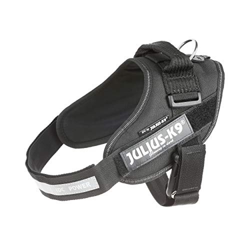 Julius-K9 16IDC-P0+ IDC Power Harness con la Cerradura de Seguridad, Tamaño 0, Negro