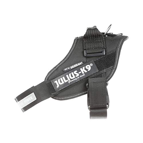 Julius-K9 16IDC-P0+ IDC Power Harness con la Cerradura de Seguridad, Tamaño 0, Negro