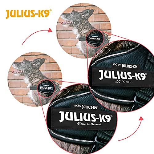 JULIUS-K9 16IDC Power Harness