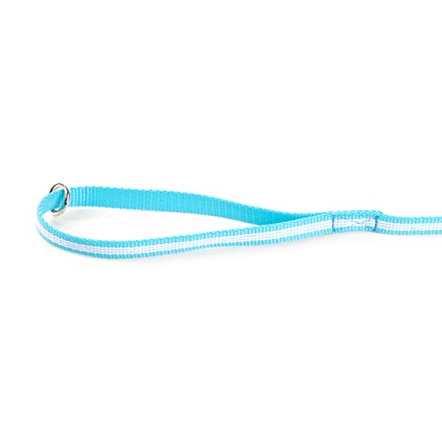 Julius-K9 218-NL-1,2HS-AM - Correa Ajustable de Cincha Tubular, Azul (Aguamarina), 1.2 m x 14 mm, 1 unidad