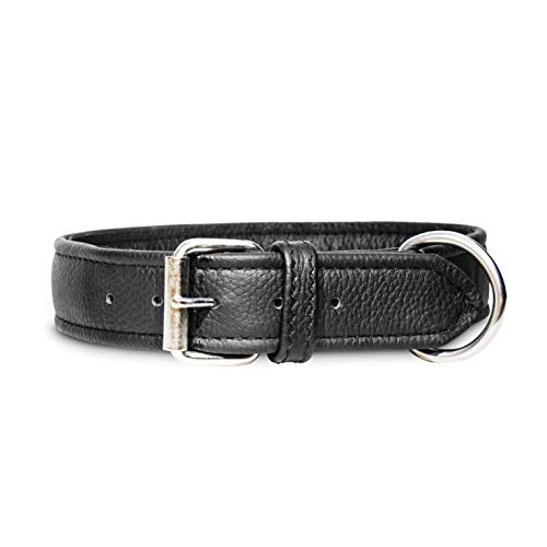 Julius-K9 Collar de cuero ECO, 40 mm x 75 cm