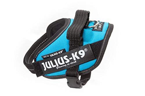 Julius-K9 IDC PowerHarness para perros con dos parches personalizados, aguamarina Mini