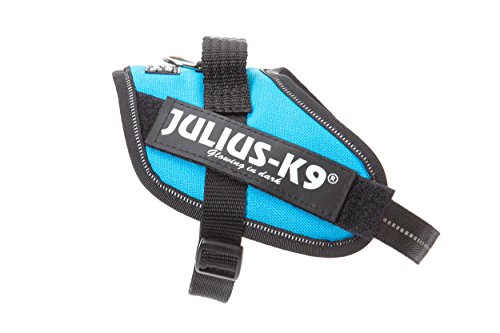 Julius-K9 IDC PowerHarness para perros con dos parches personalizados, aguamarina Mini