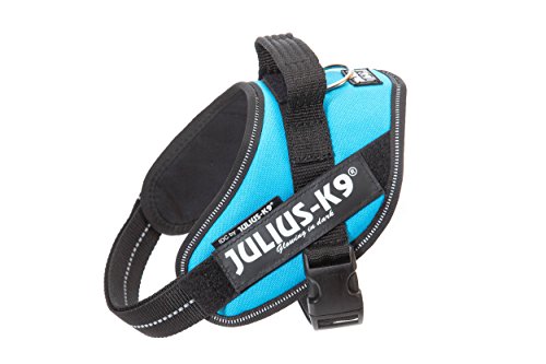 Julius-K9 IDC PowerHarness para perros con dos parches personalizados, aguamarina Mini