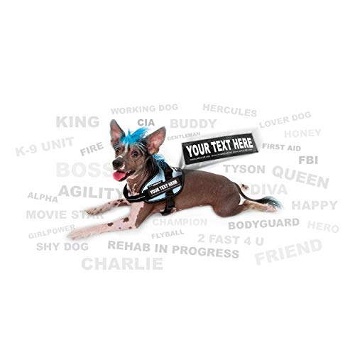 Julius-K9 IDC PowerHarness para perros con dos parches personalizados, aguamarina Mini