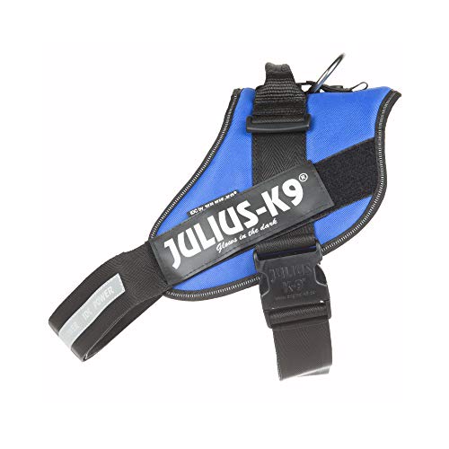 Julius-K9 | IDC-Powerharness | Size: 3 | Blue by