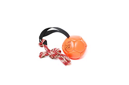 Julius-K9 Pelota para Entrenamiento de Shows, 100 mm, Naranja