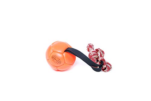 Julius-K9 Pelota para Entrenamiento de Shows, 100 mm, Naranja