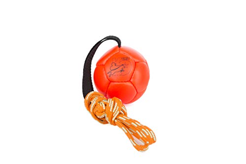 Julius-K9 Pelota para Entrenamiento de Shows, 100 mm, Naranja