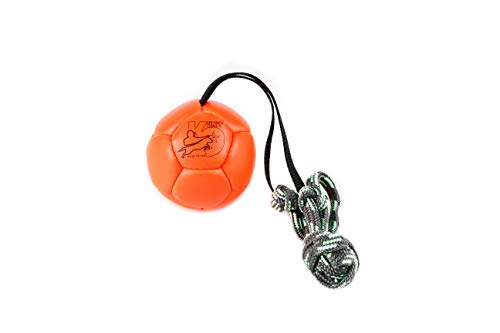 Julius-K9 Pelota para Entrenamiento de Shows, 100 mm, Naranja