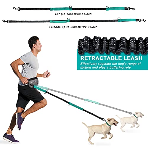 JULUCLKJ Correa de Jogging para Perros Pequeños Grandes, Correa de Jogging Elástica Reflectante con Bolsa para Cinturón Adecuado para Trotar, Correr, Andar en Bicicleta, Caminar (Verde)