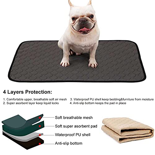 JWDS Alfombra De Adiestramiento para Perros Almohadillas para Perros Lavables Pastillas De Mascotas A Prueba De Agua Pads De Entrenamiento Reutilizables A Prueba De Agua Cojines De Asiento