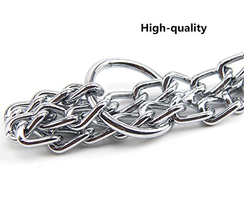 JYHY - Collar para Perro de Lujo, con Cadena en Forma de P y Cadena de Metal de Hierro y Doble Fila, para Entrenar a los Perros pequeños, medianos y Grandes (2.5mm × 45cm)