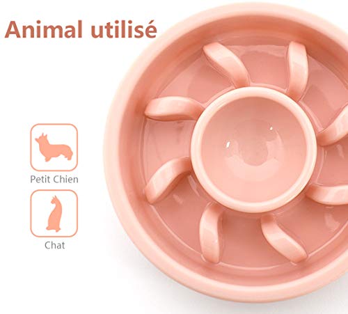 Kaiyingxin Comedero para Perros, Comedero Perros Lento, Interactivo Bol para Perro de Mascota, Comedero Anti Deslizamiento, Ralentizar la Comida, Adecuado para Perros Pequeños, Medianos y Grandes