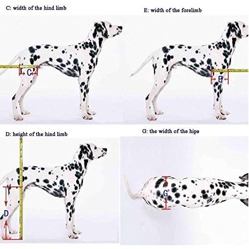 Kays Silla de Ruedas para Perros Ajustable Perro De Ruedas Hind Pierna Asistida Soporte Formación Rehabilitación 2 Ruedas De Coche del Perro Casero Movilidad Arnés (Size : XXS)