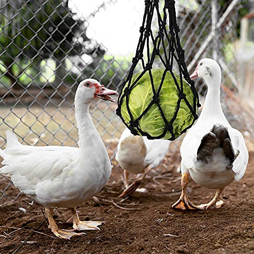 Keleily Comedero Colgante,2Piezas Comedero para gallinas Alimentador Colgante de Acero Inoxidable alimentador de Verduras y Frutas Colgante de Verduras Pollo para gallinas Patos Aves