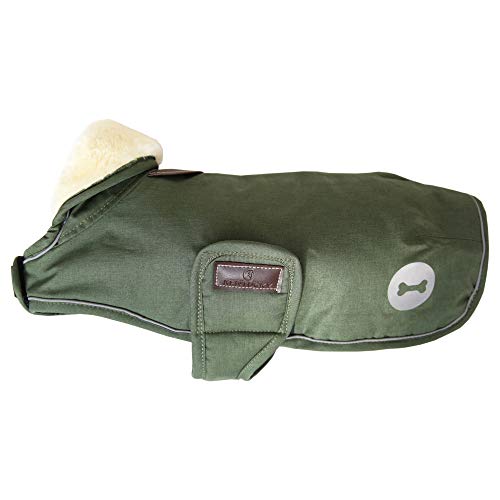 Kentucky Dogwear Manta impermeable para perros, 160 g, color verde oliva