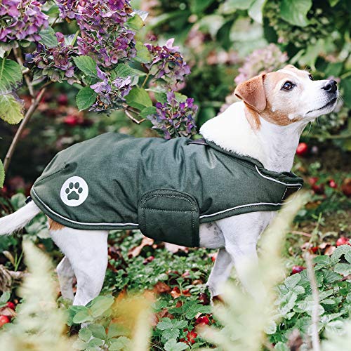 Kentucky Dogwear Manta impermeable para perros, 160 g, color verde oliva