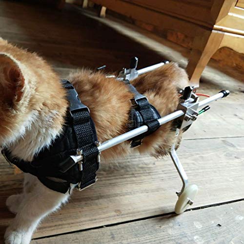 KHUY Adicional Silla de Ruedas pequeño Perro, Gato Silla de Ruedas, Mascotas Deporte Ajustable Perro Silla de Ruedas Ruedas de Carro Tres tamaños for Las piernas traseras de Rehabilitación (Size : M)