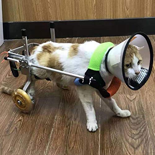 KHUY Adicional Silla de Ruedas pequeño Perro, Gato Silla de Ruedas, Mascotas Deporte Ajustable Perro Silla de Ruedas Ruedas de Carro Tres tamaños for Las piernas traseras de Rehabilitación (Size : M)