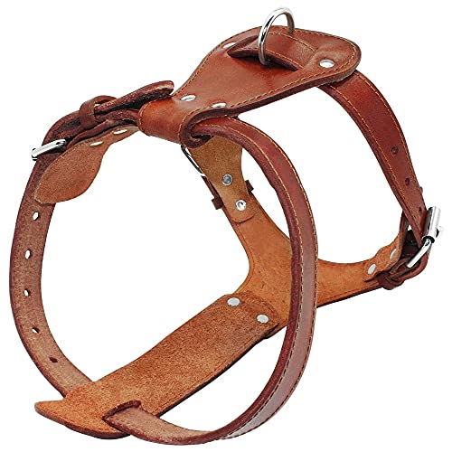 KIFFAY Arnés de Perro de Cuero Genuino marrón 16-30 Cofre Ajustables Correas para Entrenamiento para Caminar Medio MEDIANDO Largos Pitbull BOULER Mastiff(Brown,L)