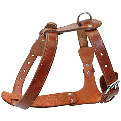 KIFFAY Arnés de Perro de Cuero Genuino marrón 16-30 Cofre Ajustables Correas para Entrenamiento para Caminar Medio MEDIANDO Largos Pitbull BOULER Mastiff(Brown,L)