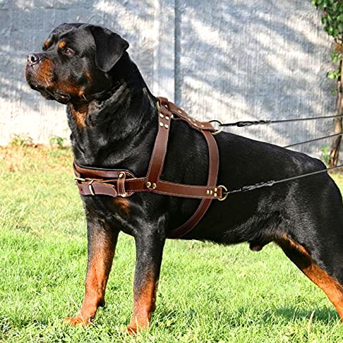 KIFFAY Arnés para Perros Grandes para Mascotas, arnés para Perros Grandes de Cuero Pitbull, Chaleco Ajustable para Perros medianos Grandes Bulldog Rottweiler Labrador 2XL(marrón,XL)