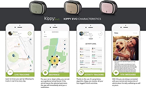 KIPPY EVO - El Nuevo Collar GPS para Perros y Gatos - Seguimiento de Actividad, 38 gr, Waterproof, Bateria 10 dias, Yellow Lemon