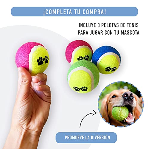 Kit de Comedero Doble de Acero Inoxidable más Pelotas de Juguete para Perros Pequeños y Medianos. Tazón Doble para Comida y Agua para Mascotas y 3 Pelotas de Tenis. (Gris)