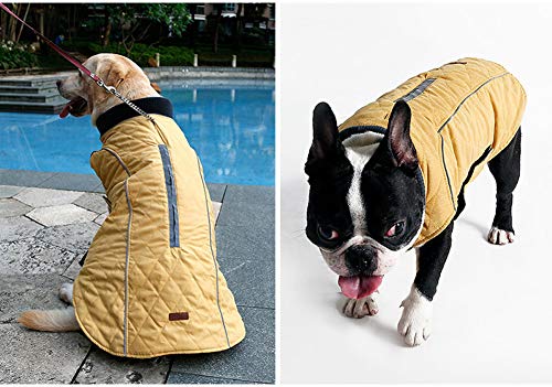 Komate Abrigo de Invierno para Perros Chaleco cálido con Vestido de Rayas Reflectantes para Perros pequeños medianos Grandes (XL (Cofre: 62-70 cm), Amarillo)