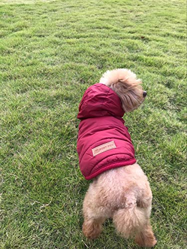 Komate Chaqueta de Invierno cálido para Perros Abrigo Grueso de Invierno Chaleco de Tela para Perros pequeños medianos Grandes (XXL (tamaño del Pecho 68 cm), Rojo)