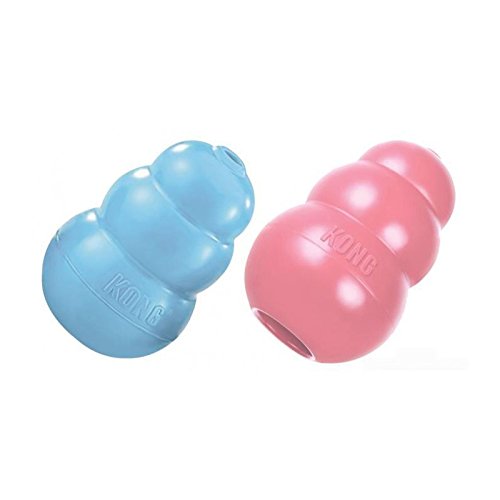 Kong Puppy (M) KP1 (Colores Surtidos)