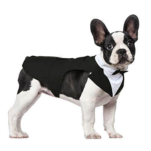 Kuoser Traje de Esmoquin para Perros de Tamaño Pequeño/Mediano/Grande, Ropa para Mascotas, Camisa para Cachorros con Lazo Negro Extraíble, Disfraz Formal para Bodas y Festivales