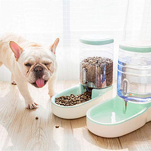 KUOZEN Comedero Automatico Perros Comederos para Perros Los Animales de Recipiente de Comida de Mascotas Dispensador de Alimentos Secos para Mascotas Green,Water Feeder