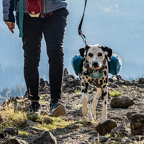 Kurgo Baxter (TM) - Mochila de Senderismo para Perro, Mochila alforja