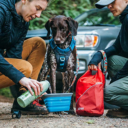 Kurgo, Bolsa para Comida de Perros, Bolsa de Viaje para Perros, Bolsillos Adicionales, Hasta 2 Kg, Roja