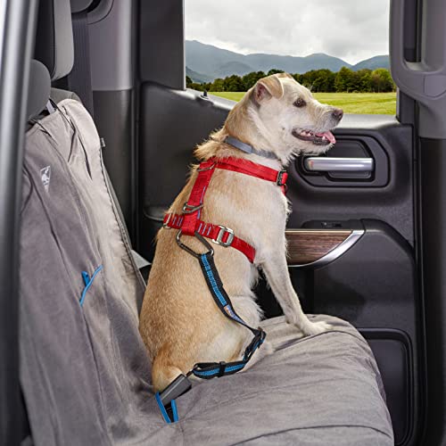 Kurgo Cinturón de Seguridad para Perros, Ajustable, con Hebilla para Coche, Correa de Perro Estilo Clip, Azul/Negro