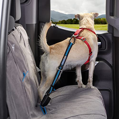 Kurgo Cinturón de Seguridad para Perros, Ajustable, con Hebilla para Coche, Correa de Perro Estilo Clip, Azul/Negro