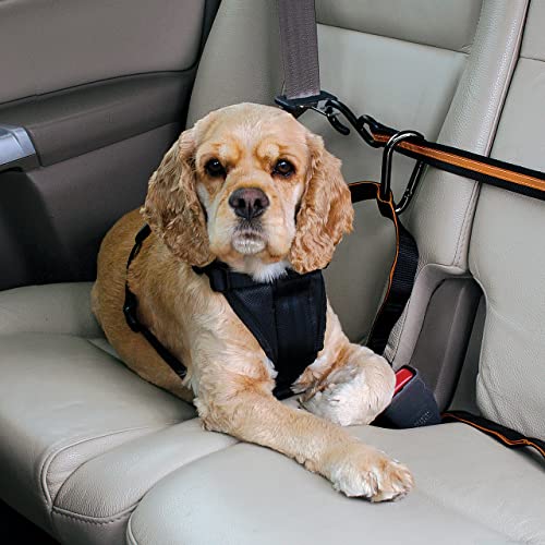 Kurgo - Correa de Seguridad para Coche para Perros, Correa de Seguridad con Tirolina, Talla Única, Tirolina Automática, Ajustable de 1 a 1.8 m, Compatible con todo tipo de Arneses, Negro / Naranja