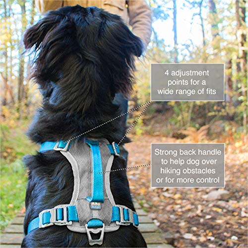 Kurgo Journey Air (TM) Arnés para Perro Corredor, arnés para pasear al Perro, arnés de Senderismo para Perro