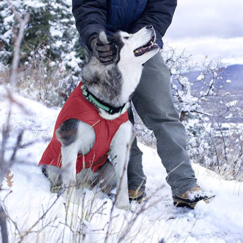 Kurgo Loft - Abrigo Reversible para Perros, Chaqueta Invierno para Mascotas, Impermeable, Reflectante - Rojo/Gris, XL